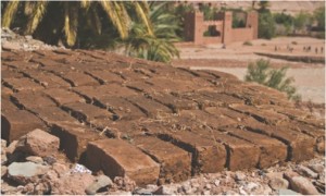 egyptian mud straw bricks